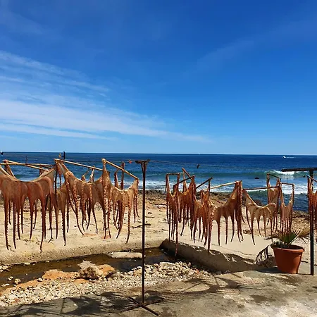 Lejlighed Apartamento Terraza Soleada, Centro 5 Min A Pie, Dos Playas A 150 Metros